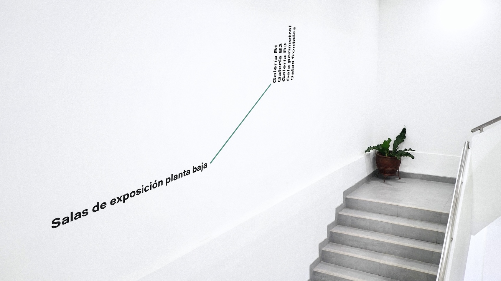 andrea marino deseno grafico rebranding museo marco vigo 21
